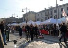 DSC6050